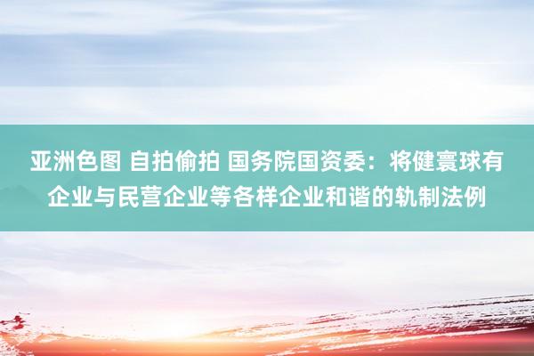 亚洲色图 自拍偷拍 国务院国资委：将健寰球有企业与民营企业等各样企业和谐的轨制法例