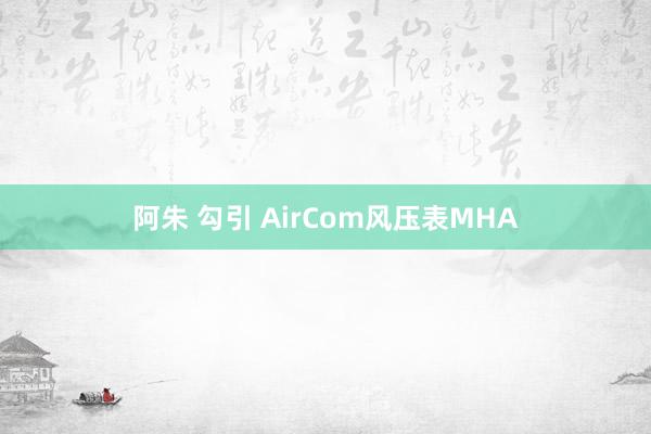 阿朱 勾引 AirCom风压表MHA