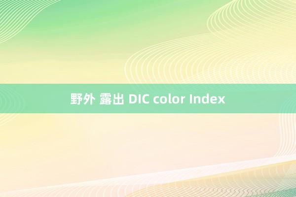 野外 露出 DIC color Index