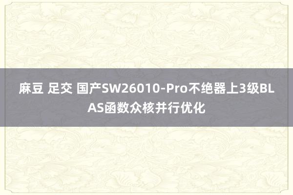 麻豆 足交 国产SW26010-Pro不绝器上3级BLAS函数众核并行优化