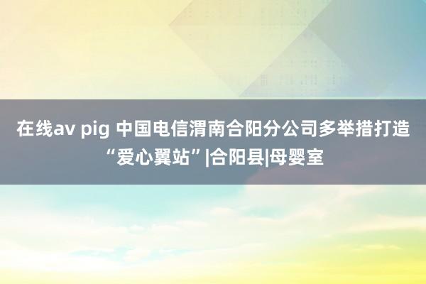 在线av pig 中国电信渭南合阳分公司多举措打造“爱心翼站”|合阳县|母婴室