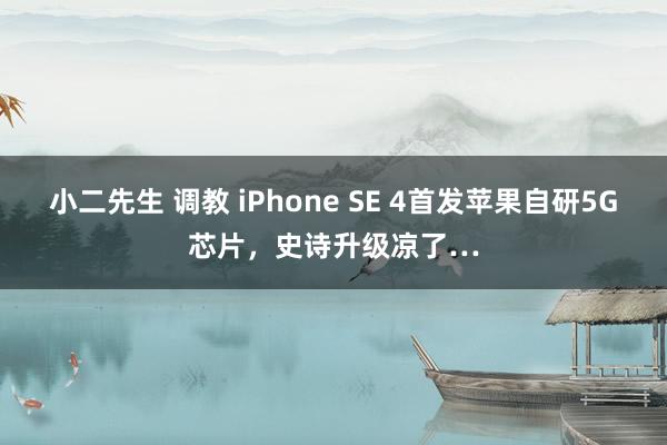 小二先生 调教 iPhone SE 4首发苹果自研5G芯片，史诗升级凉了…