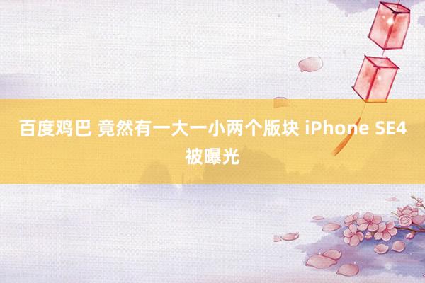 百度鸡巴 竟然有一大一小两个版块 iPhone SE4被曝光