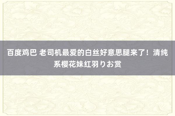 百度鸡巴 老司机最爱的白丝好意思腿来了！清纯系樱花妹红羽りお赏